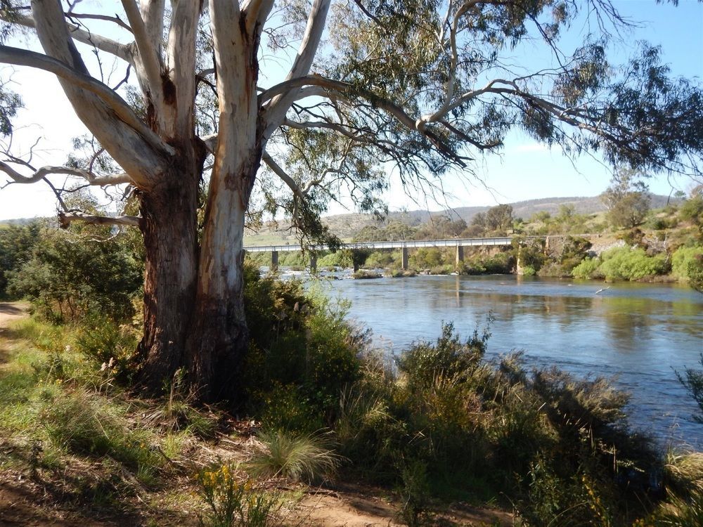 מלון קיימברידג' Big4 Hobart Airport Tourist Park מראה חיצוני תמונה